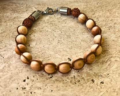 Desert Nomad